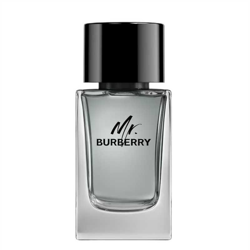 Burberry Mr. Burberry for Men Eau de toilette Тоалетна вода